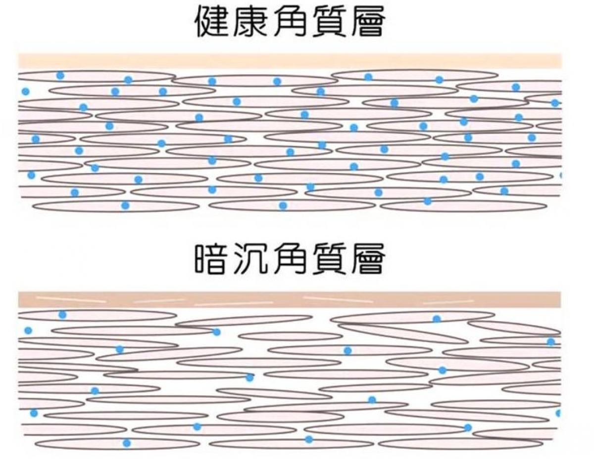 온고지신(溫故知新), 왕회장님은 글로벌 파트너를 위해 네 가지 신제품의 기능과 독보적인 시장 우세를 설명圖細胞營養之2